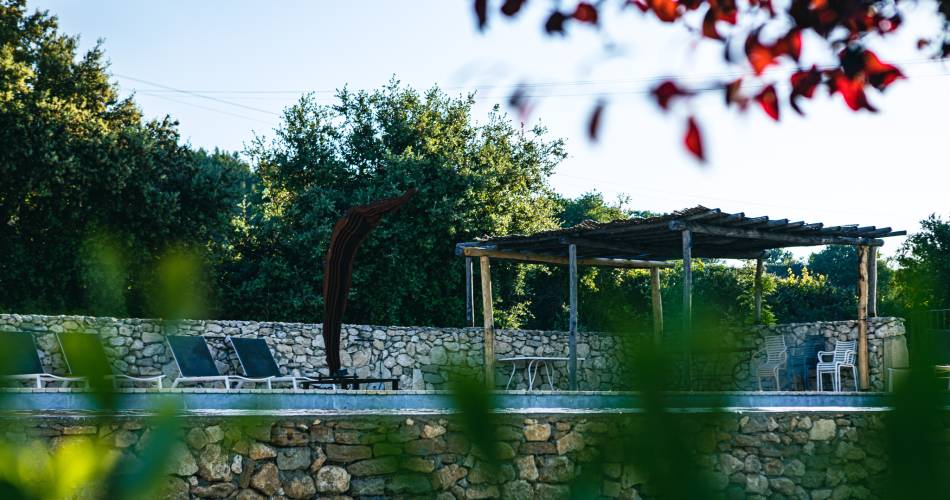 Carignan - Domaine des Peyre@AKTO