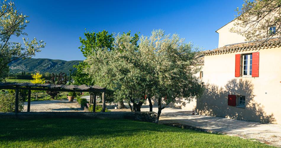 Carignan - Domaine des Peyre@AKTO