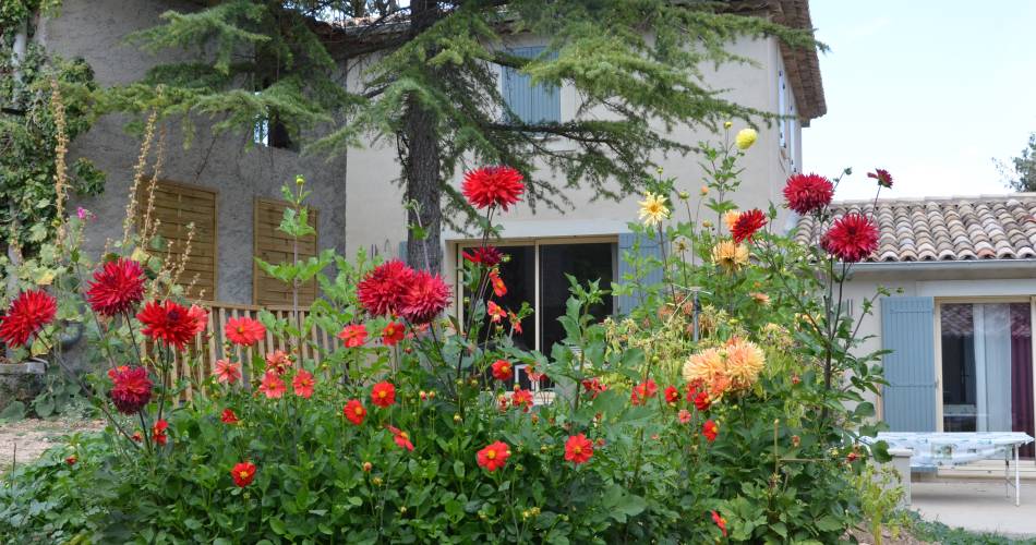 Les Jassines 4@© MC Mangeot