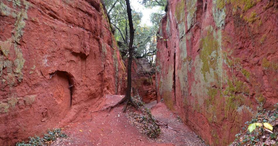 Les Jassines 2@MC MANGEOT