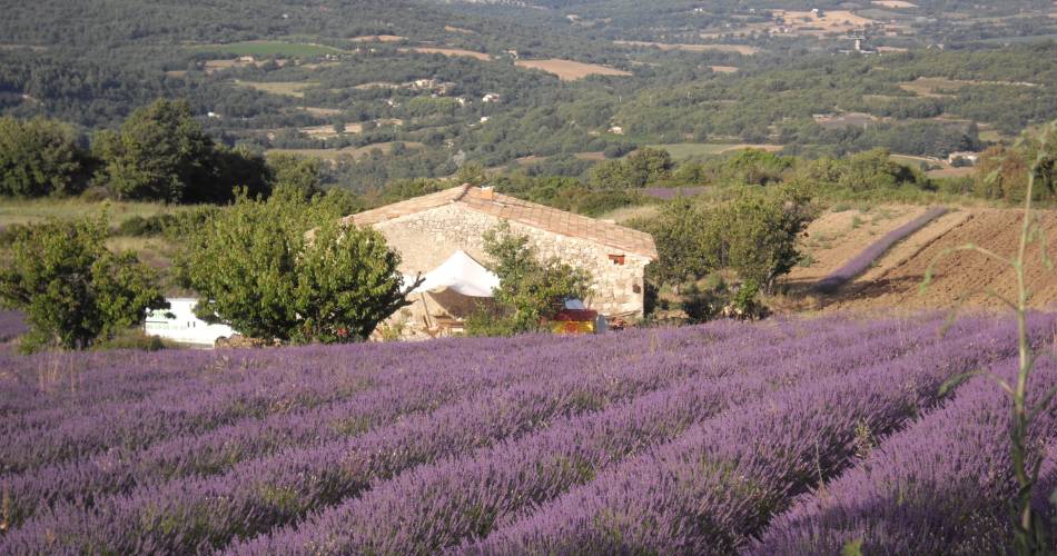 Les Jassines 2@MC MANGEOT