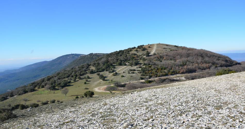 Les Jassines 2@MC MANGEOT