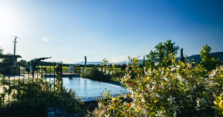 Grenache - Domaine des Peyre@Akto