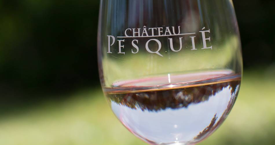 Picknick in de wijngaard van Château Pesquié@Château Pesquié
