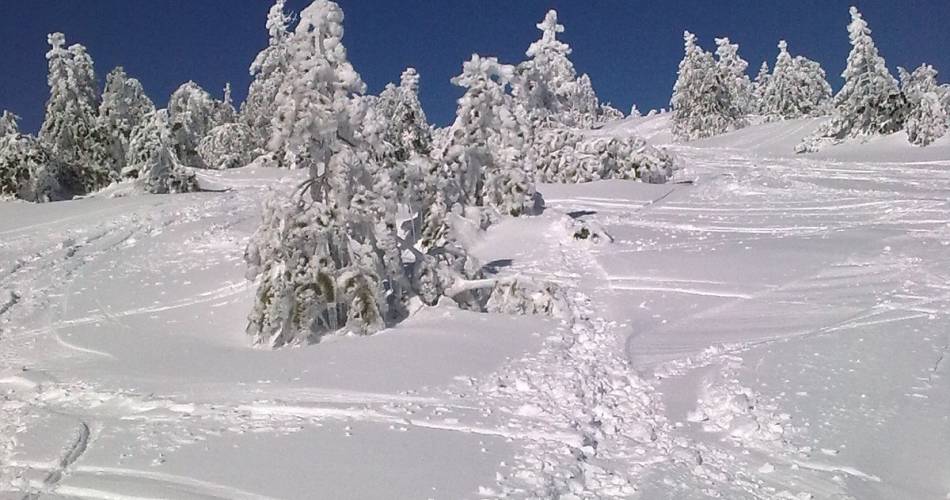 Station de ski du Chalet Reynard@Didier Pèbre