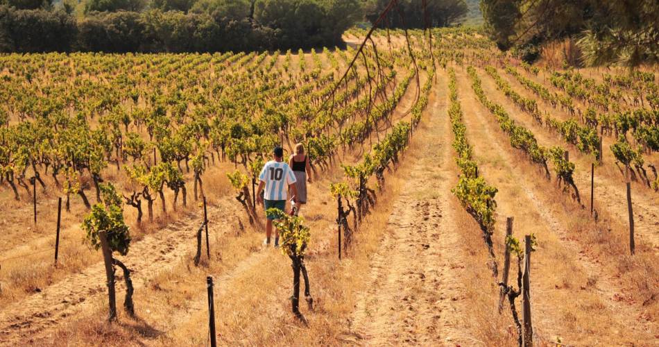 Château Boucarut@@Boucarut