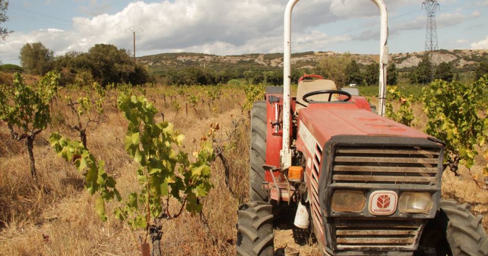Château Boucarut@@Boucarut