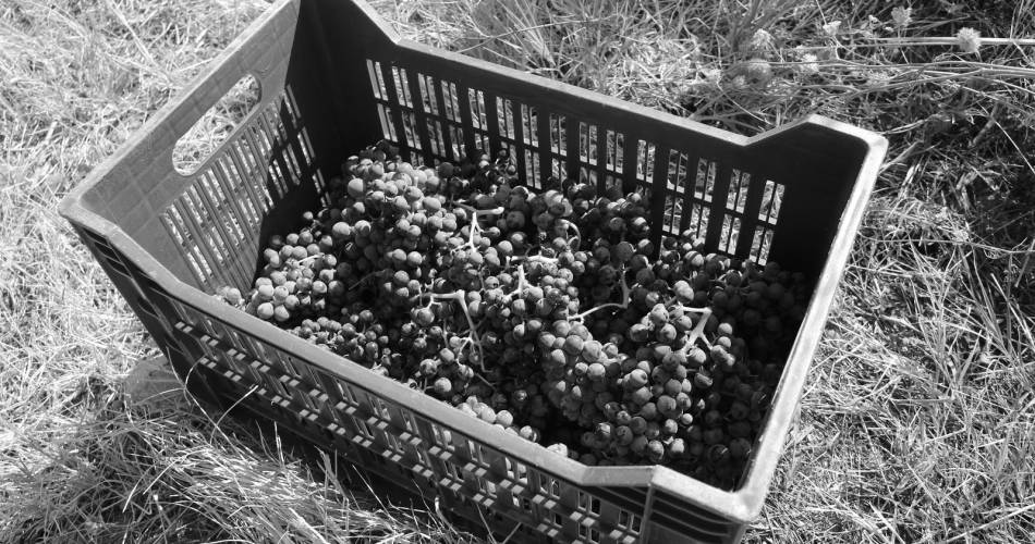 Château Boucarut@@Boucarut