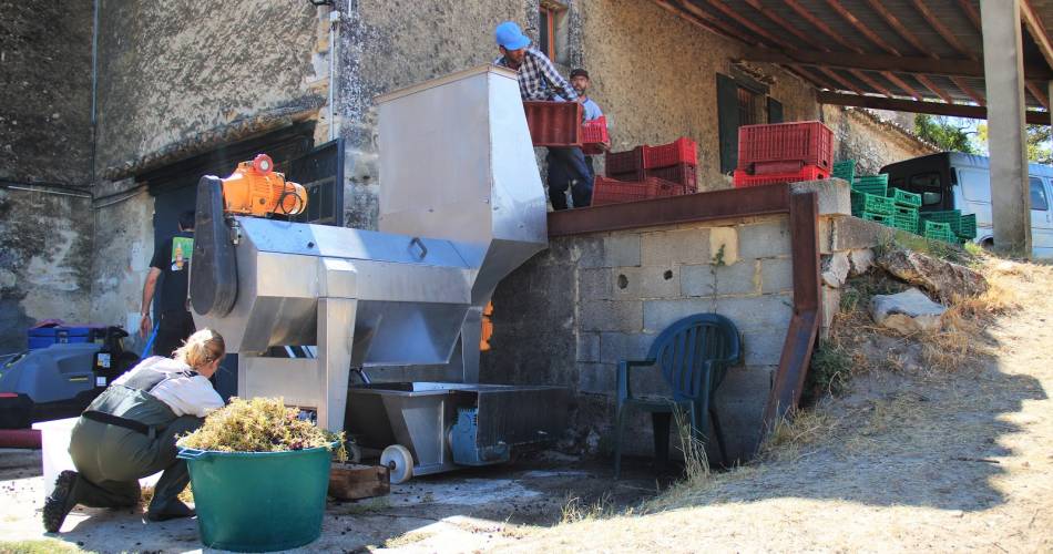 Château Boucarut@@Boucarut