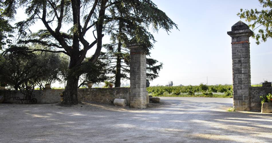 Domaine la Garrigue@Domaine la Garrigue