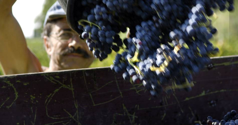 Domaine la Garrigue@Domaine la Garrigue