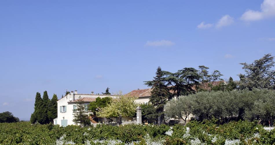 Domaine la Garrigue@Domaine la Garrigue