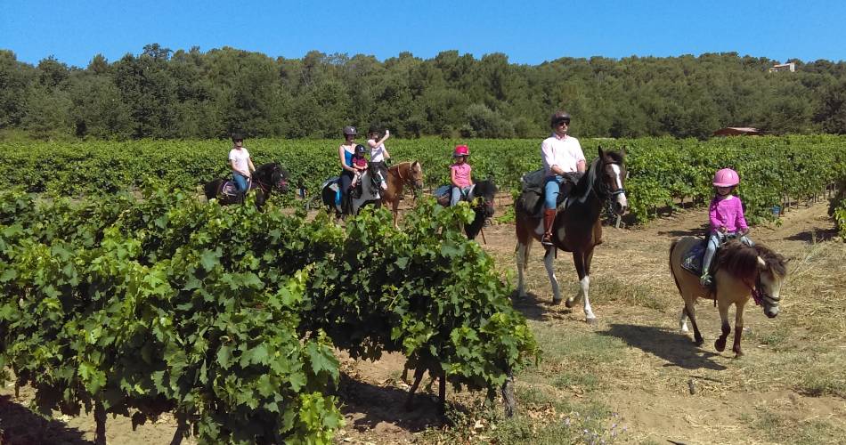 Equestrian centre le Poney Rouge@L. Moreau