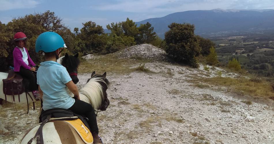 Equestrian centre le Poney Rouge@L. Moreau