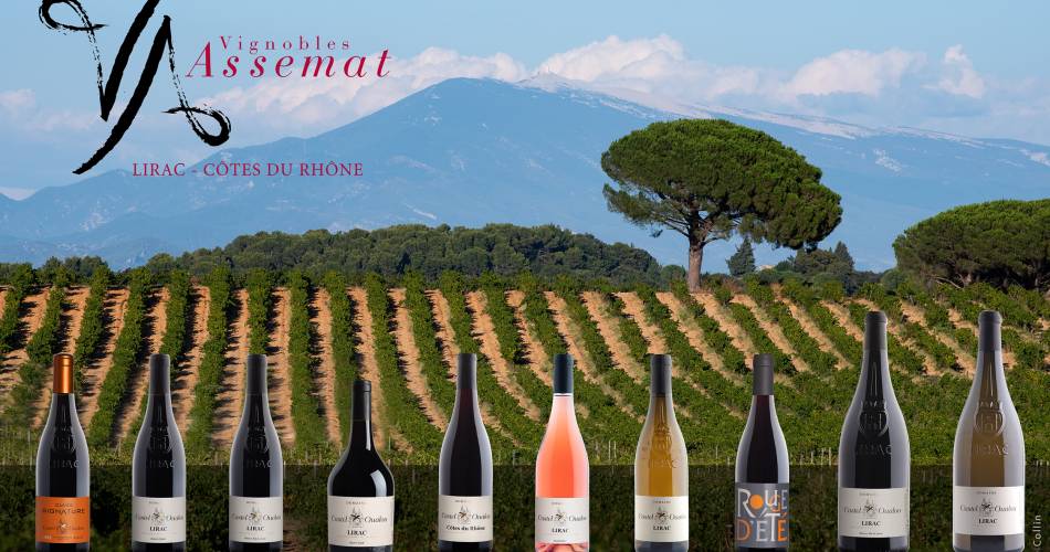 Domaine Castel Oualou - Assemat vineyards@@Assemat
