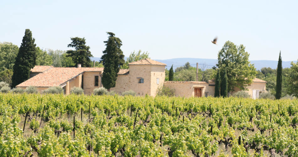 Domaine de Mas Caron@Domaine de Mas Caron