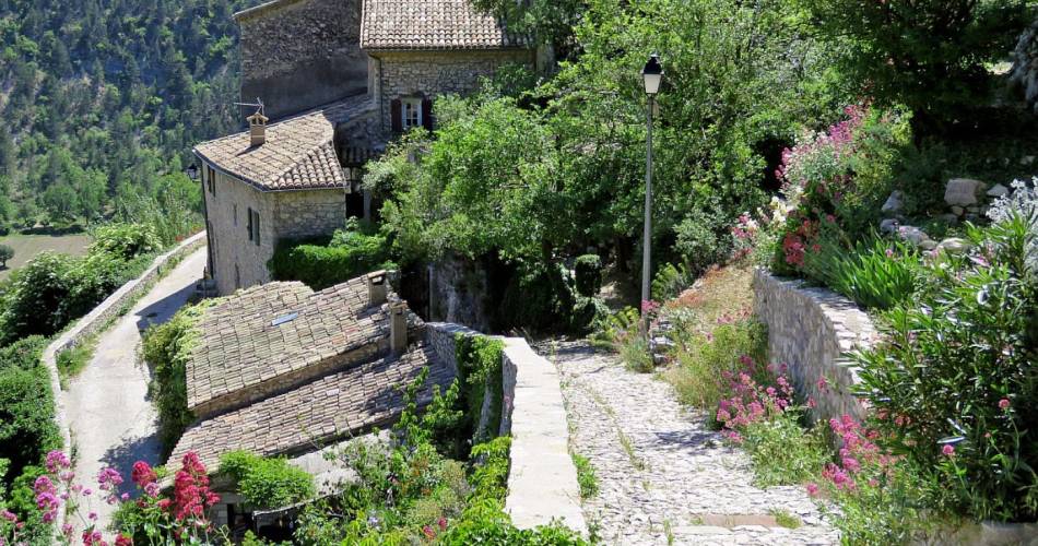 Gîte le Tilleul Centenaire@Bruno