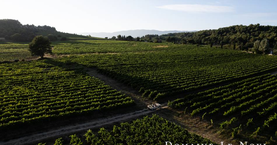 Domaine Le Novi@Domaine Le Novi