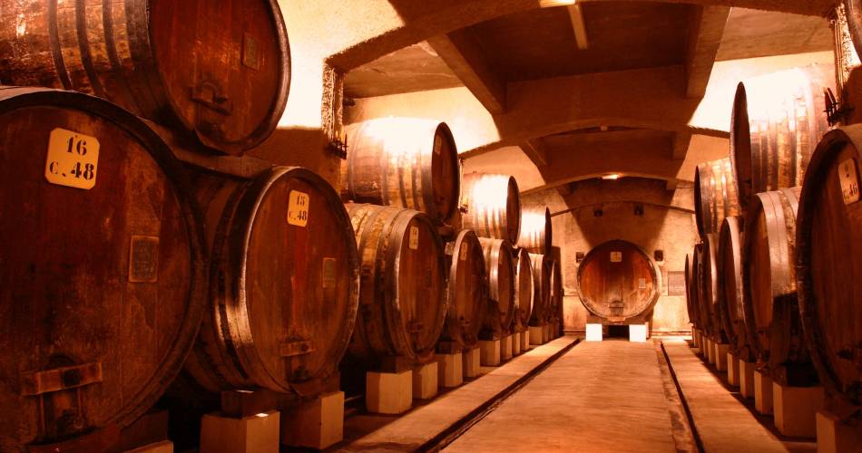 Wine cellars tour of the Cellier des Princes@Cellier des Princes