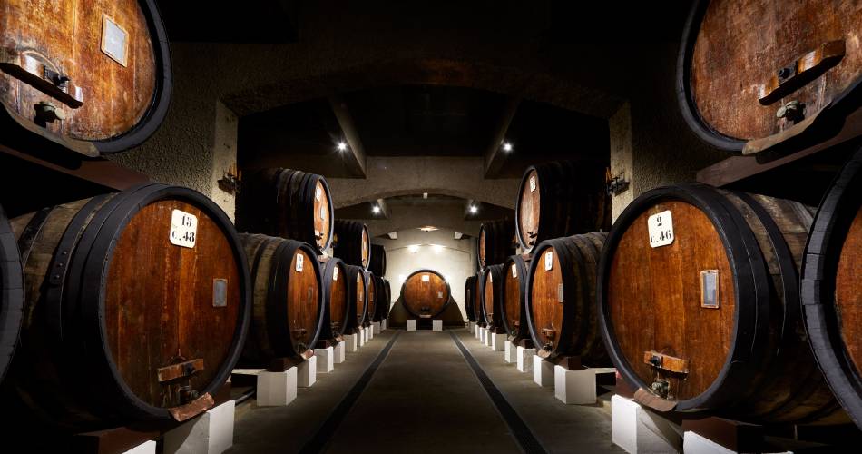 Visite des chais du Cellier des Princes@Cellier des Princes