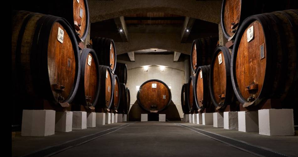 Wine cellars tour of the Cellier des Princes@Cellier des Princes