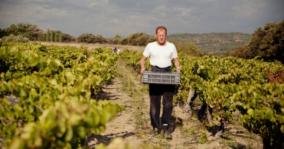 Domaine les Patys@Thierry Delassales