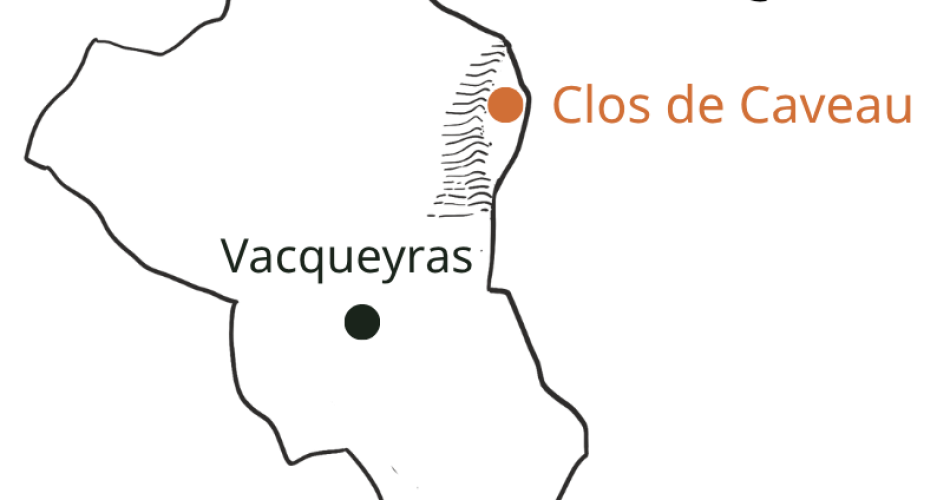 Die Weinlese am Weingut Clos de Caveau kennenlernen@Clos de Caveau