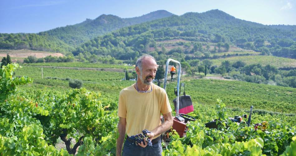 Die Weinlese am Weingut Clos de Caveau kennenlernen@Clos de Caveau