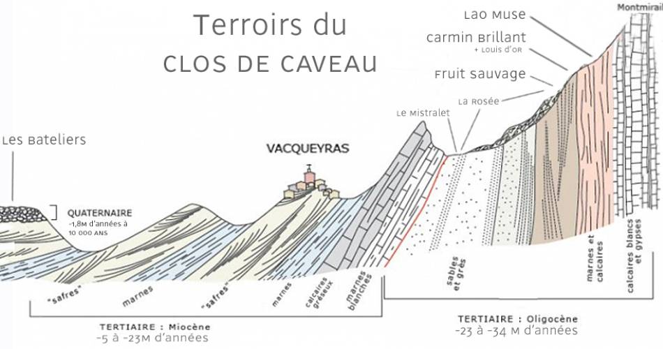 Die Weinlese am Weingut Clos de Caveau kennenlernen@Clos de Caveau