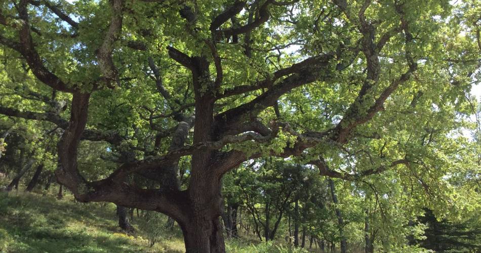 Gîte Doun@Mme Nardin