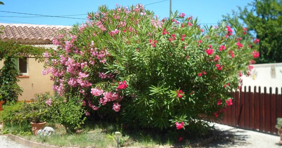 Résidence le Théâtre - Côté Piscine@Clévacances