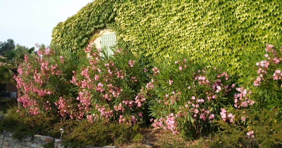 Résidence le Théâtre - Côté Piscine@Clévacances