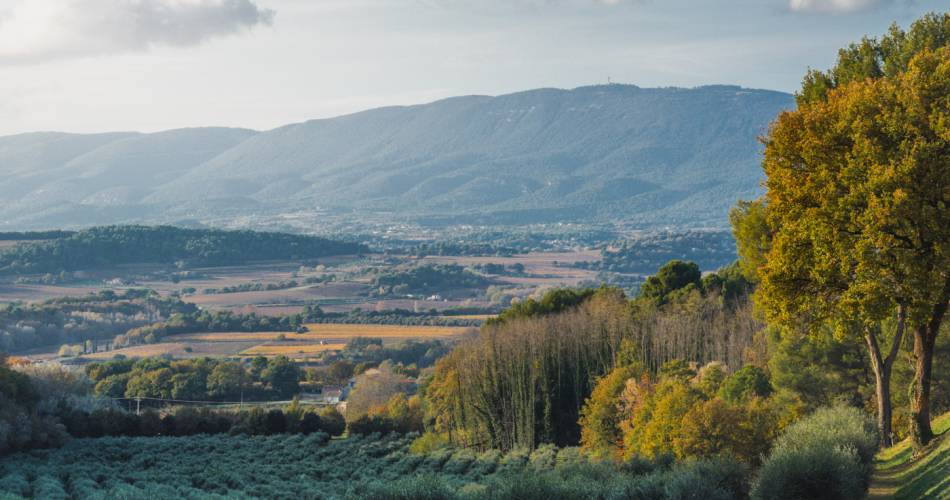 Walks and wine tastings at Château La Dorgonne@OT Luberon Sud Tourisme