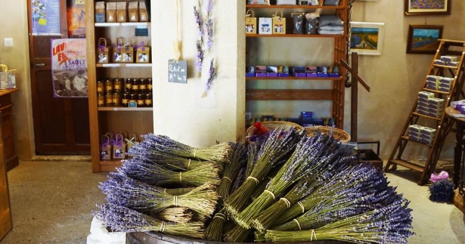 Visit the lavender farm of Champelle@S Masse