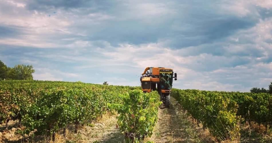 Le Moulin des Gypses@Y. Vanaert