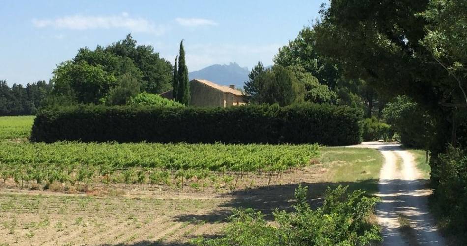 Studio Ventoux au Mas du Clos de l'Escarrat@© Brunet