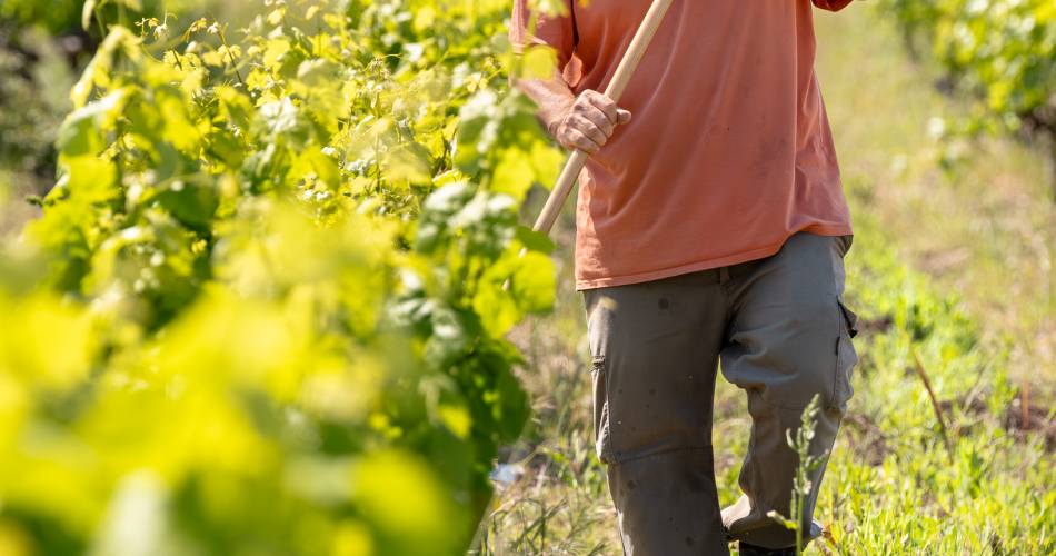 Domaine de la Lôyane@Clotilde Arnaud