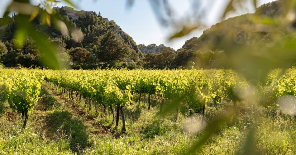 Domaine de la Lôyane@Clotilde Arnaud