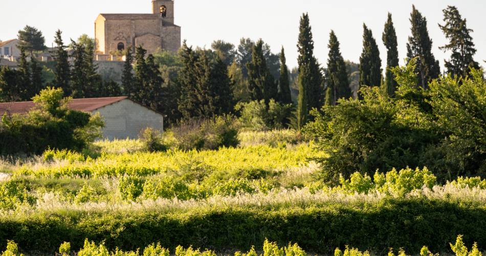 Domaine de la Lôyane@Clotilde Arnaud