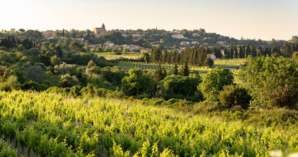 Domaine de la Lôyane@Clotilde Arnaud