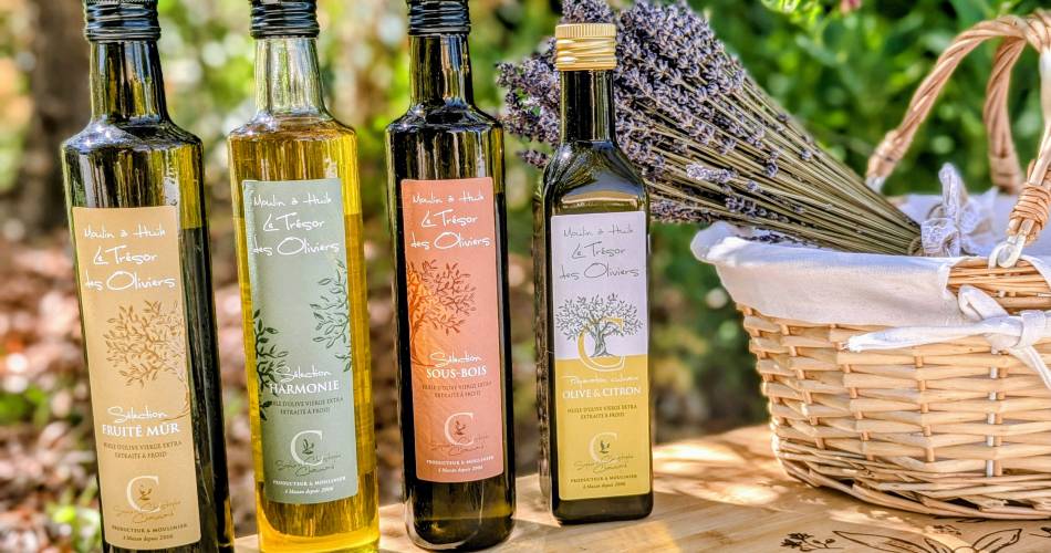 Le Trésor des Oliviers oil mill / Pied Faucon winery@Moulin à Huile Le Tréssor des Oliviers