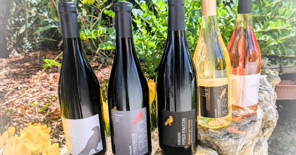 Visite du moulin à huile 