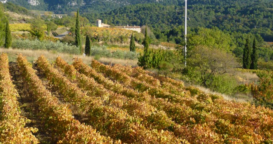 Les Gîtes de Clairier - Amandiers@CANET