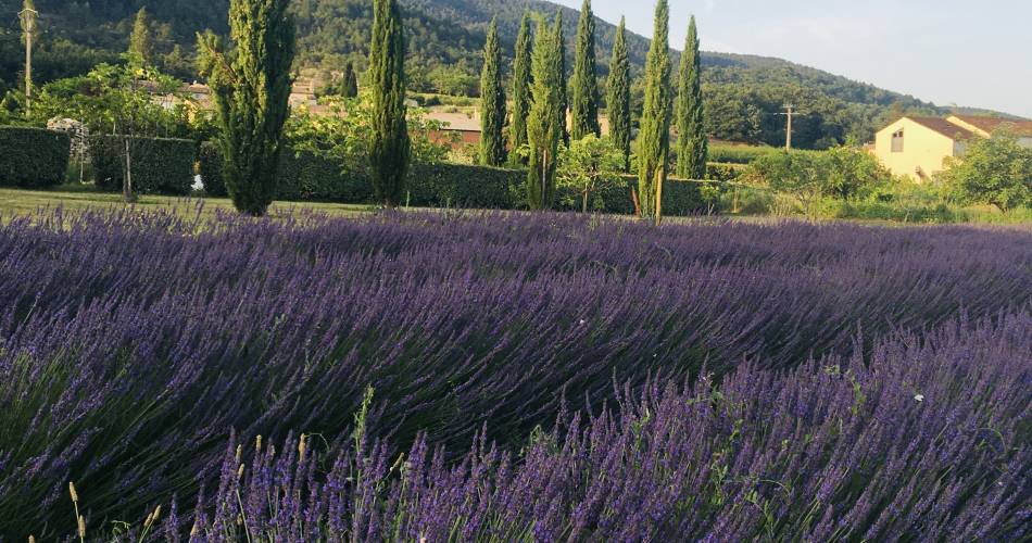 Le Gîte de Claire@TURINA DESCOURVIERES
