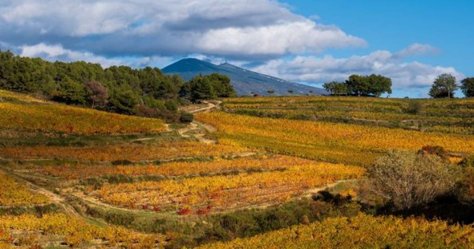 Le Gîte de Claire@Daniel Banon