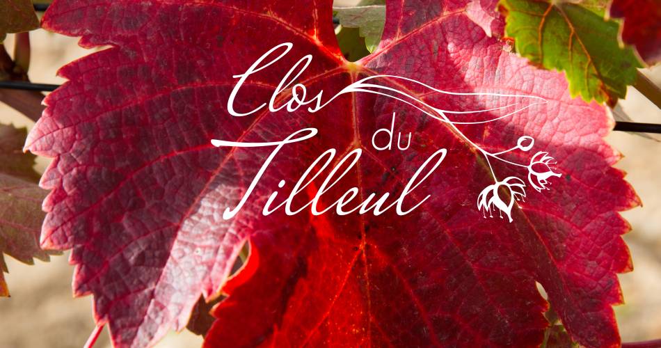 Clos du Tilleul@© Domaine Clos du Tilleul
