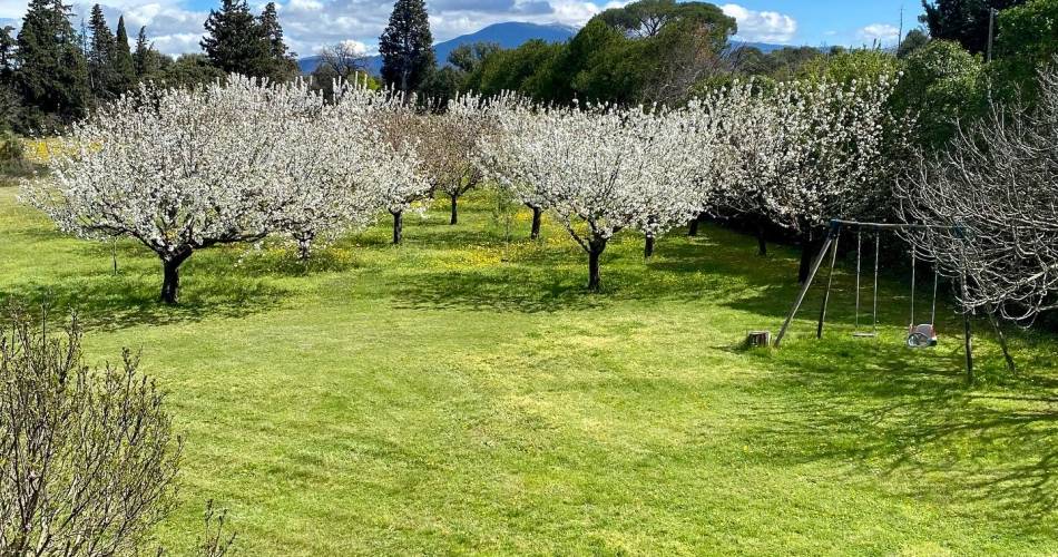 Gîte - Mas Les Fleurs d'Hilaire "Le Crillon"@Mas Fleurs d'hilaire