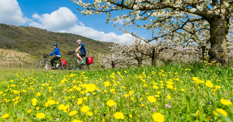 ViaRhôna - Du Léman à la Méditerranée à vélo en 17 jours@Christian Martelet - Auvergne-Rhône-Alpes Tourisme