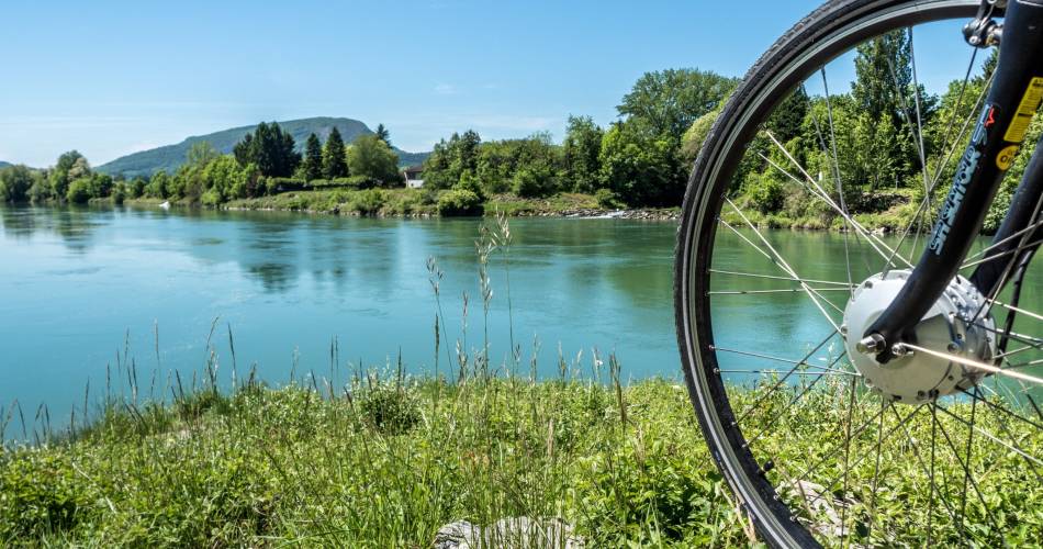 ViaRhôna - Du Léman à la Méditerranée à vélo en 17 jours@OneDayOneTravel - Auvergne-Rhône-Alpes Tourisme