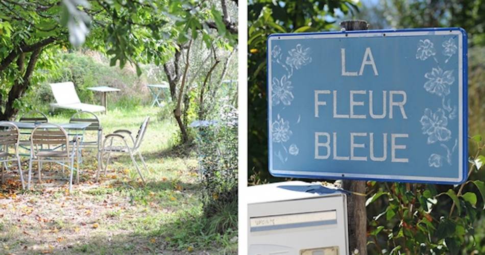 Gite la Fleur Bleue n° 4@Fiejette Worm